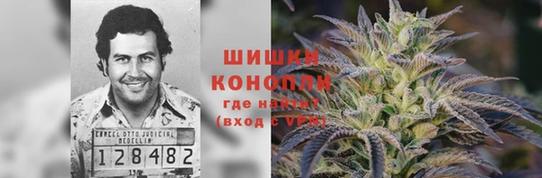 2c-b Горнозаводск
