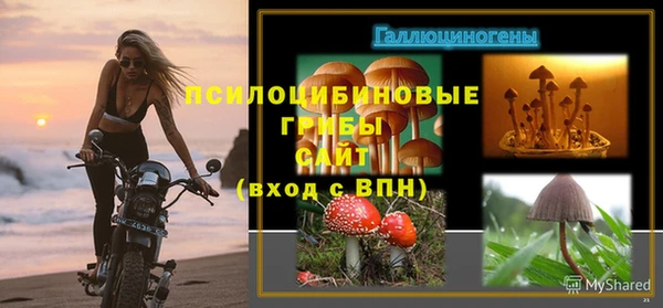2c-b Горнозаводск