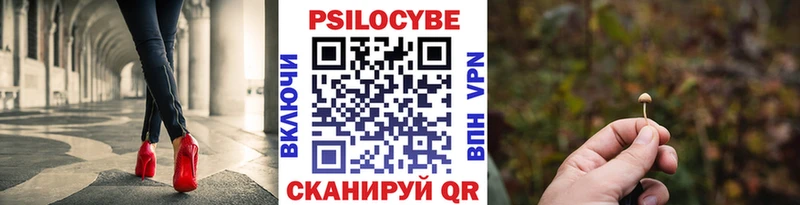 Купить  Междуреченск  Псилоцибиновые грибы Psilocybine cubensis 